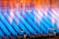 Portland gas fired boilers
